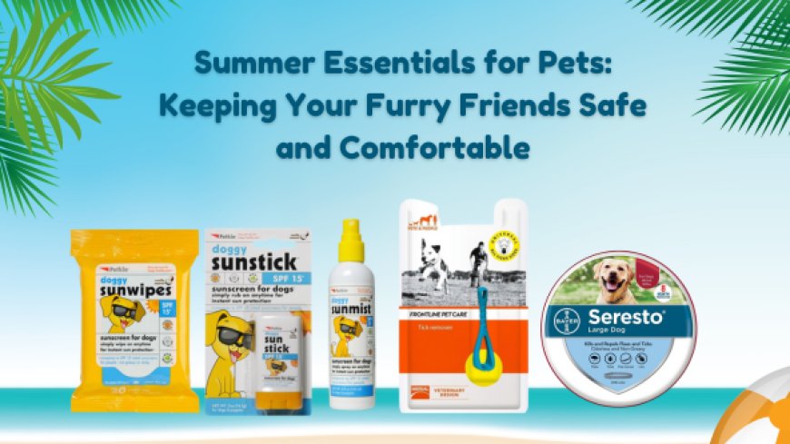 Summer Essentials for Pets: Keeping Your Furry Friends Safe and Comfortable - canadavetexpress