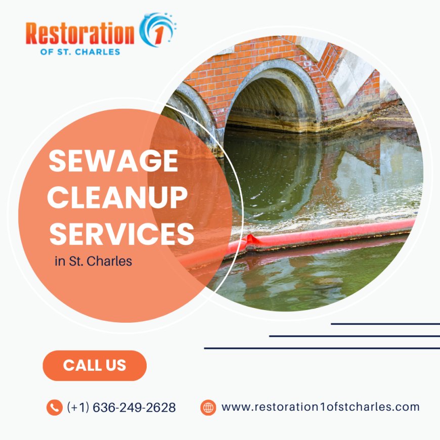 Where Can I Find Reliable Sewage Cleanup Services Near Me?
