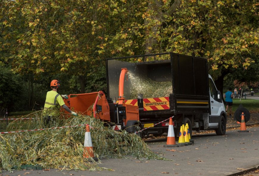 Tree Surgeons in Hertfordshire North London