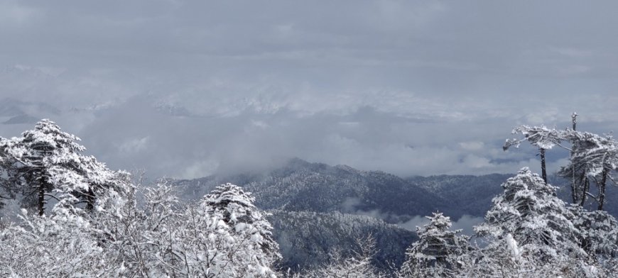 Sandakphu Phalut Trekking