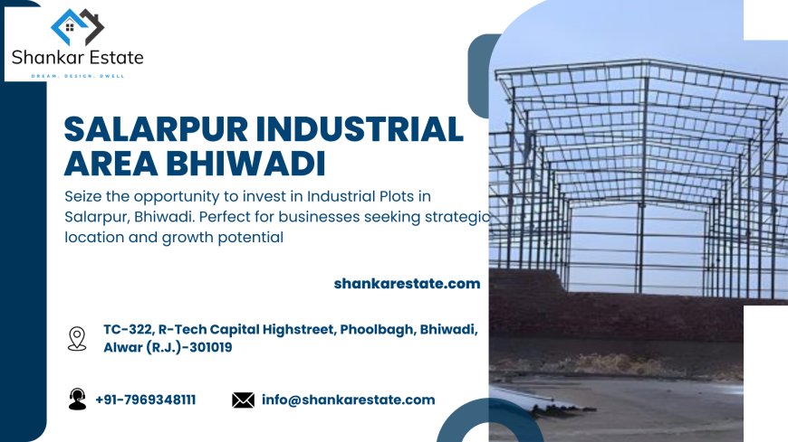 Unveiling the potential of Salarpur Industrial Area, Bhiwadi