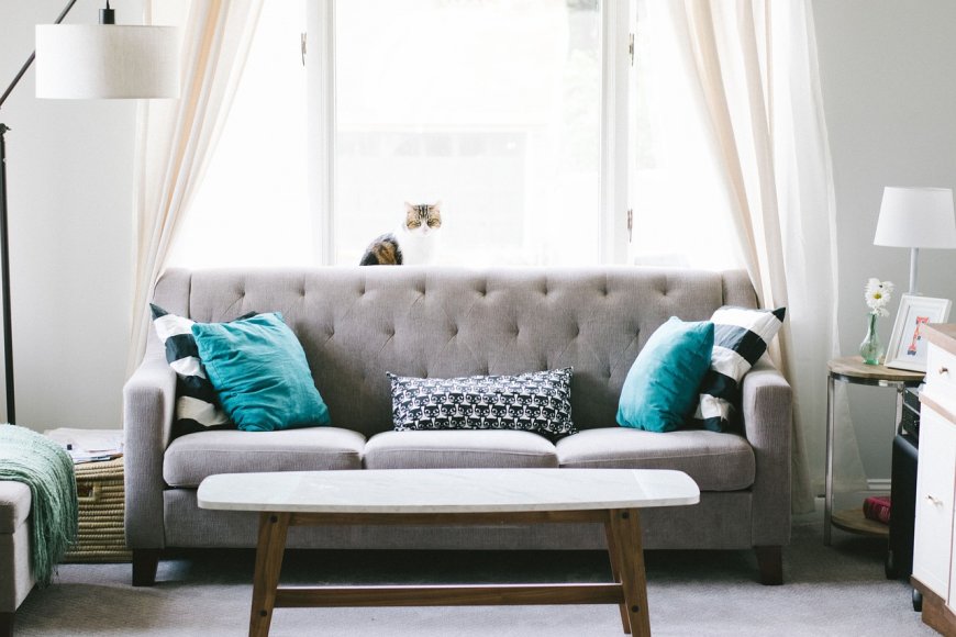 Finding Discounted Furniture in New Haven: A Comprehensive Guide