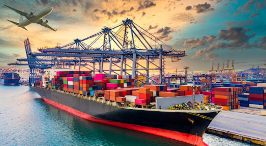 Navigating Import and Export Regulations: Declaring Agent and Licensing in Singapore