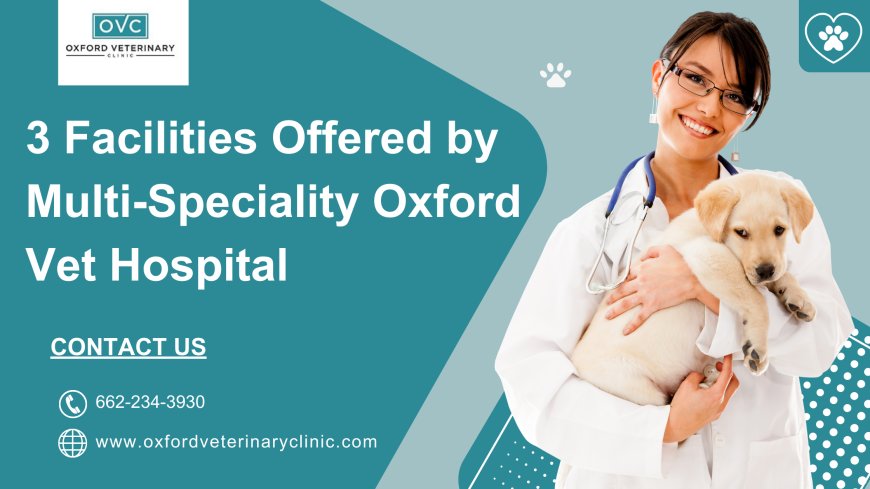 3 Facilities Offered by Multi-Speciality Oxford Vet Hospital