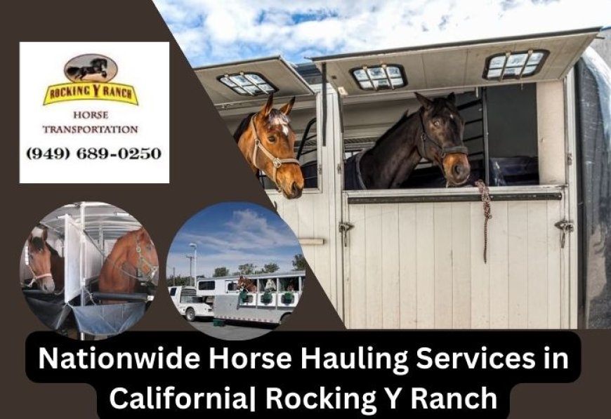 Safe and Reliable Horse Transport Across California and Nationwide