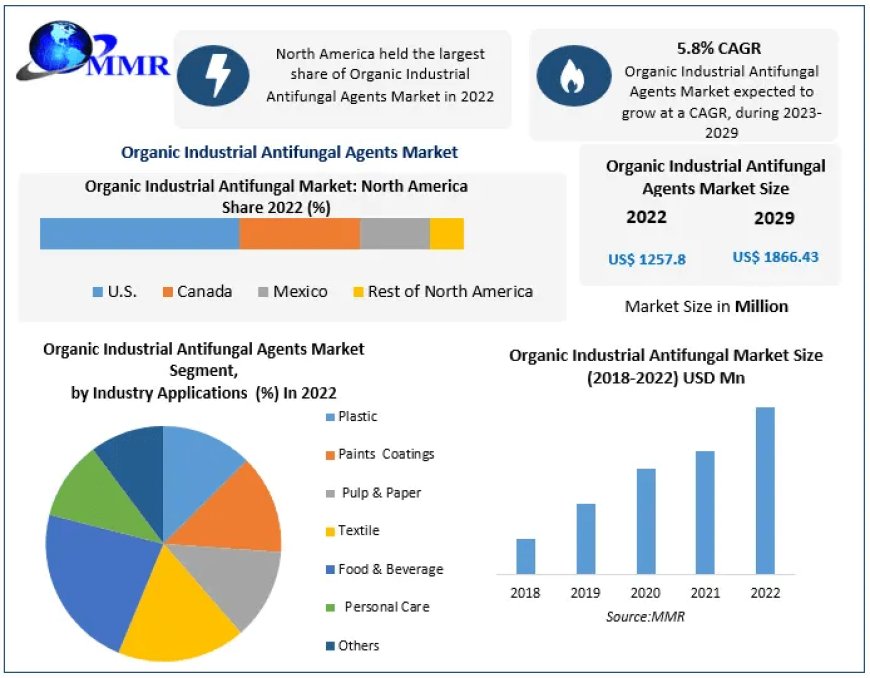 Organic Industrial Antifungal Agents Market Size, Status, Growth | Industry Analysis Report 2029