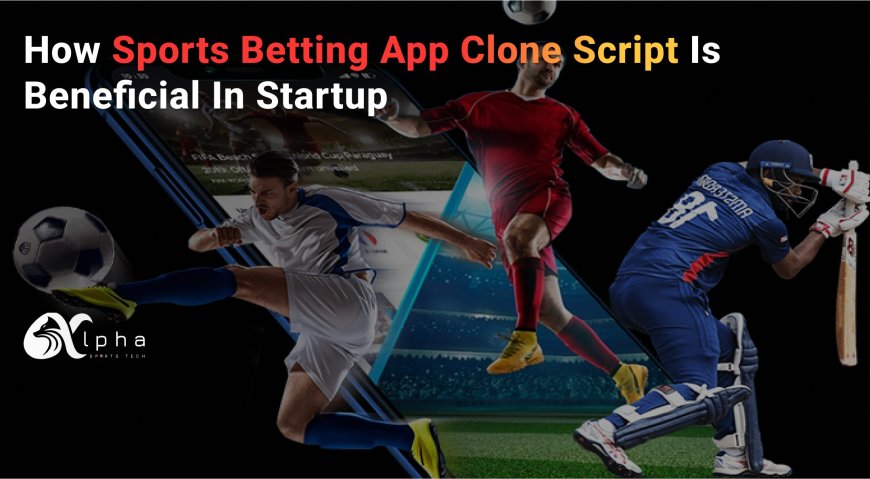 How Alphasports tech’s Sports Betting Script Can Transform Your Sports Betting Business?