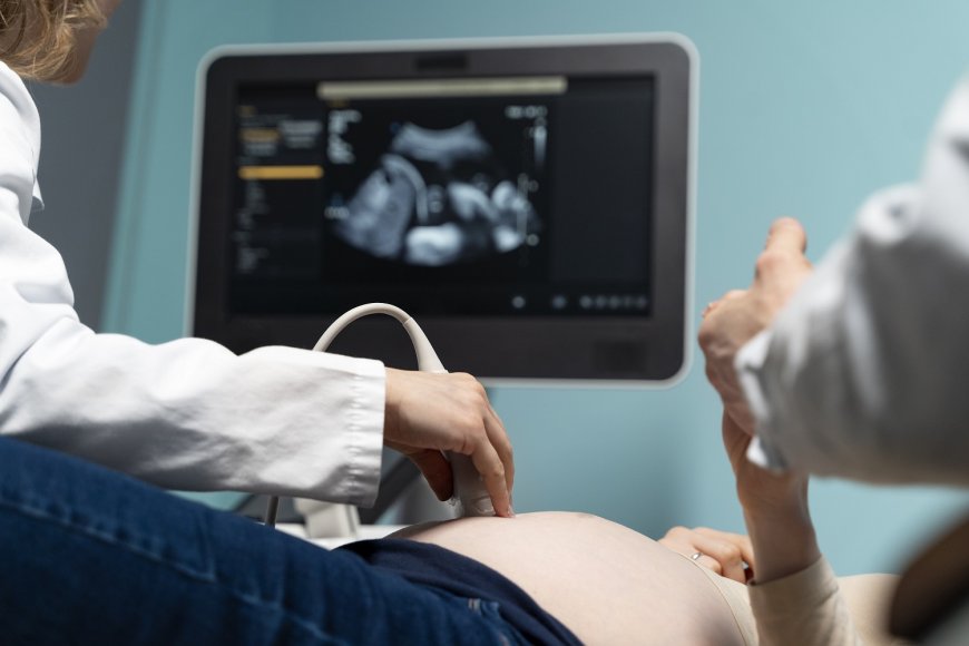 Portable Ultrasound Market to Surpass $3.8 Billion by 2031, Meticulous Research® Reports