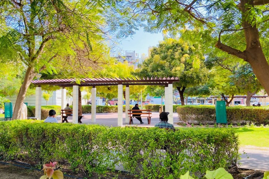 Parks, Gardens, and Urban Oases for Relaxation in Dubai