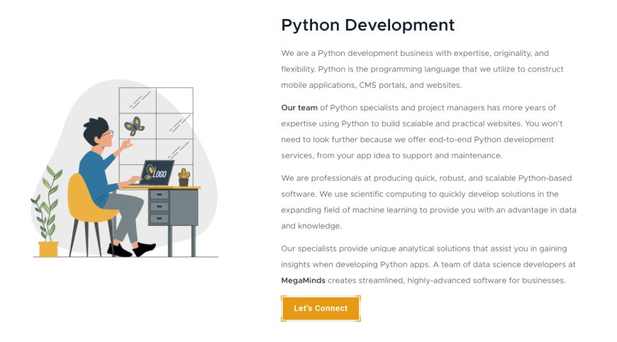 Hire Certified Python Developers