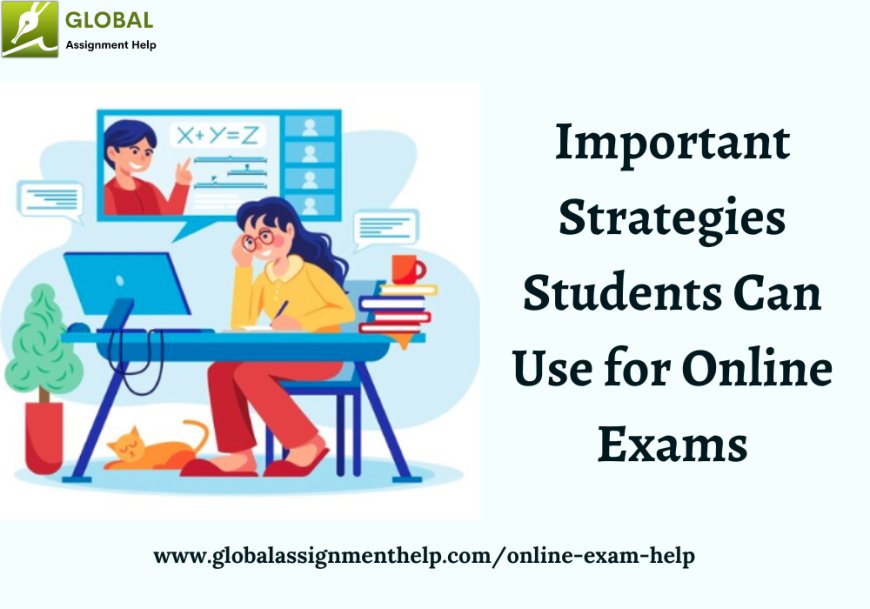 Important Strategies Students Can Use for Online Exams