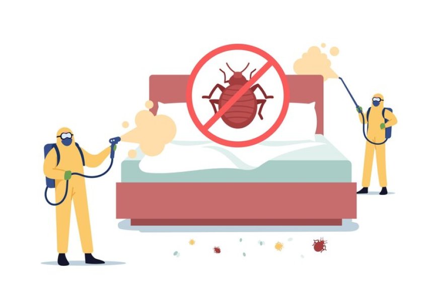 10 Surefire Signs You Need Professional Bed Bug Extermination in Singapore