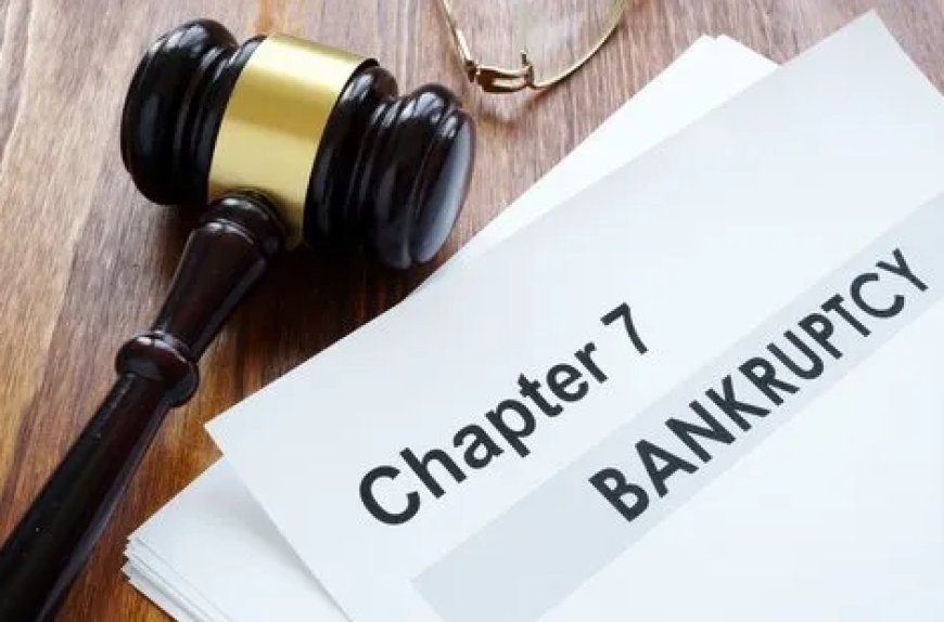 How a Jacksonville Bankruptcy Lawyer Can Help You Reclaim Financial Freedom?