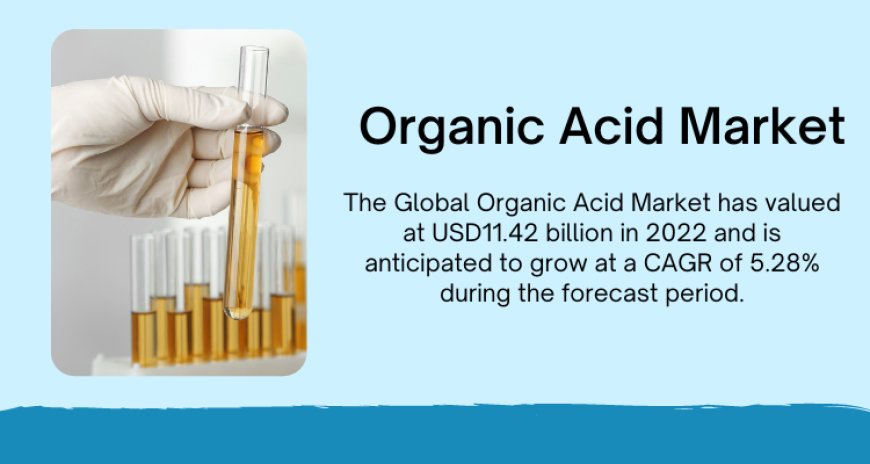 Organic Acid Market Expansion Analysis - USD 11.42B Valuation, 5.28% CAGR