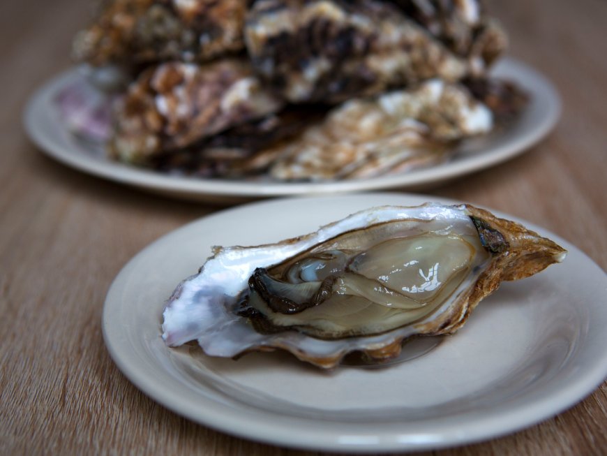 Europe Oyster Market Trends, Share, Size, Growth, Analysis & Report 2024-2032