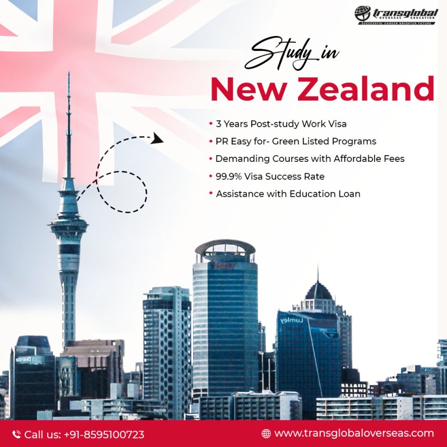 Guide to Study Bachelor in New Zealand for Indian Students