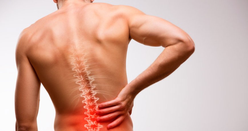 Managing Lower Back Pain: Tips for a Pain-Free Life????