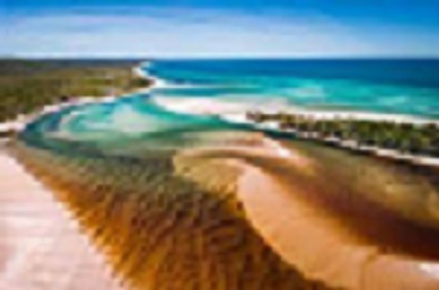 Explore Fraser Island: The Ultimate 4WD Tour Guide