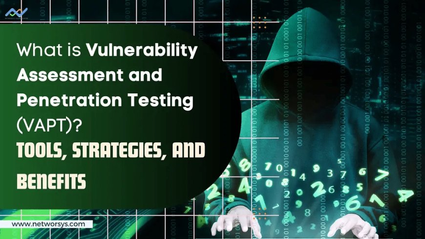 What is Vulnerability Assessment and Penetration Testing (VAPT)?: Tools, Strategies, and Benefits