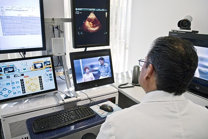 Telemedicine Software Market Share Development Scenario To 2033