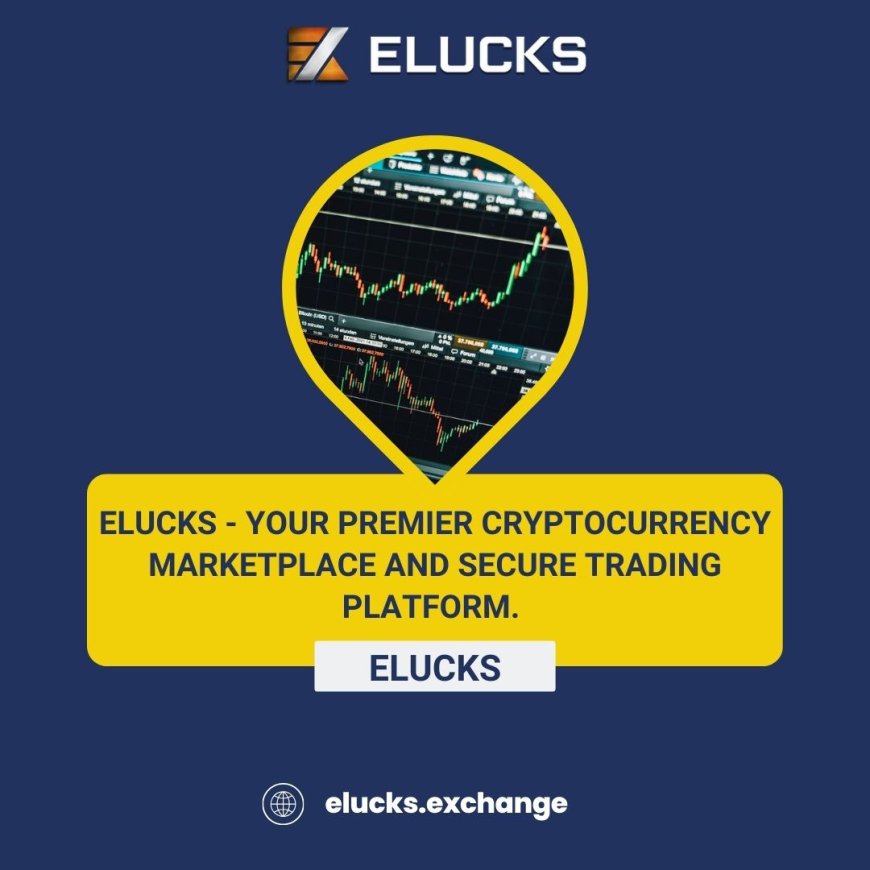 Cryptocurrency Marketplace Elucks Revolutionizing Digital Asset Trading