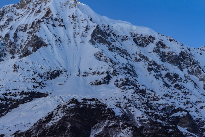 Glacier Trek