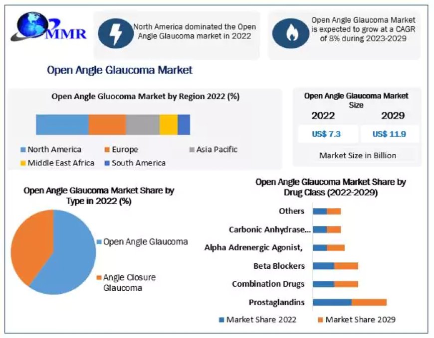 Open Angle Glaucoma Market Executive Summary, Segmentation, Review, Trends, Opportunities, Growth, Demand and Forecast to 2029