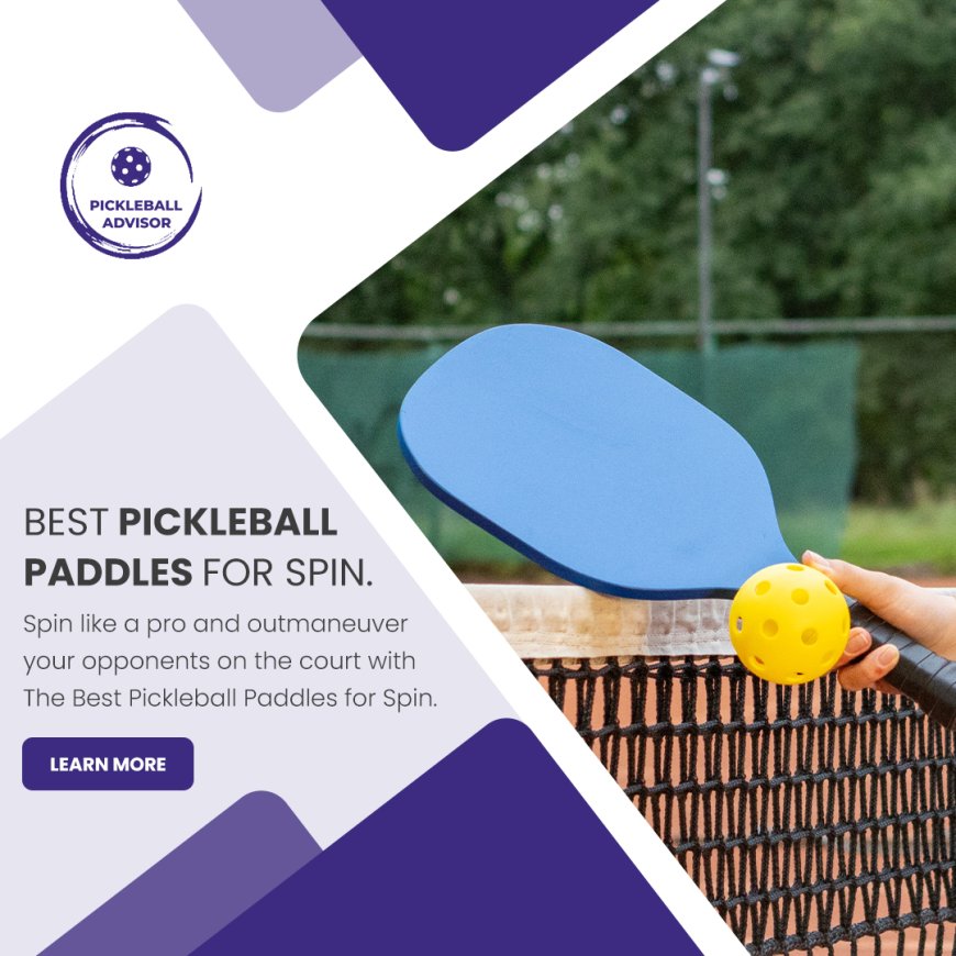 The Best Pickleball Paddles for Spin, Power, and Control