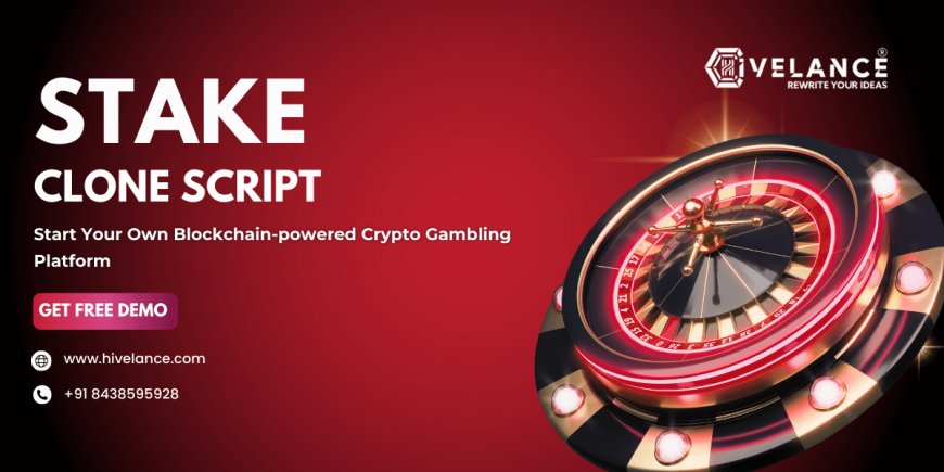 How Can Your Stake Clone Script Offer Your Users The Best Gambling Experience?