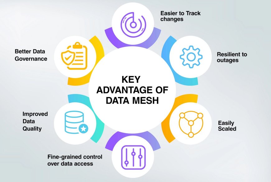 Data Mesh Market Size and Share Analysis: A Deep Dive into 2024-2032