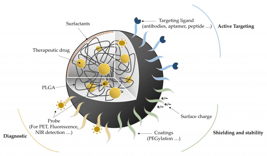 PLGA Nano Drug Carrier