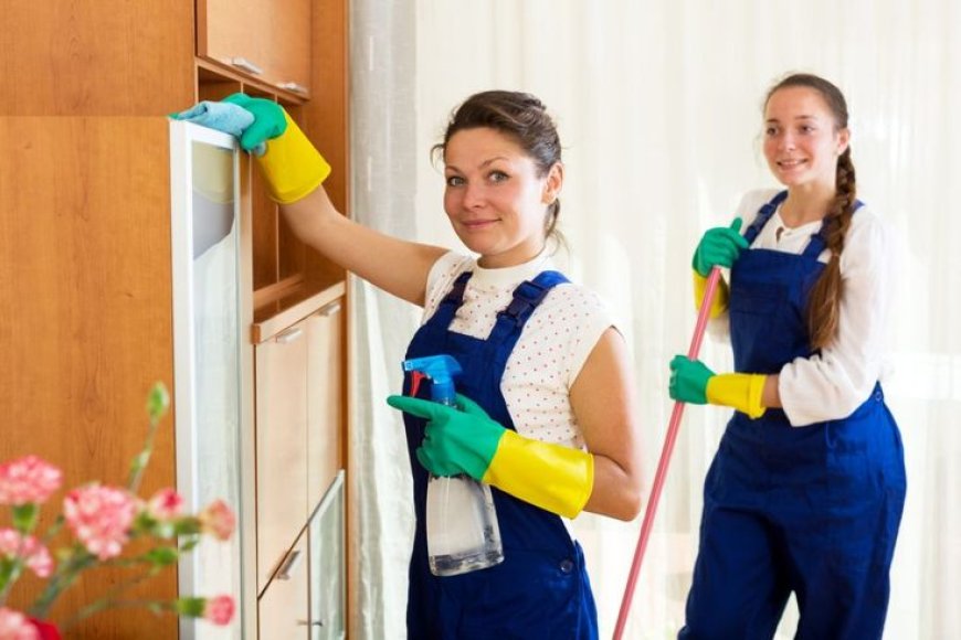 How to Resolve Issues with Your Maid Through a Singapore Agency