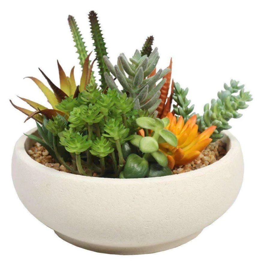 Faux Fabulous: Artificial Succulents for Effortless Elegance