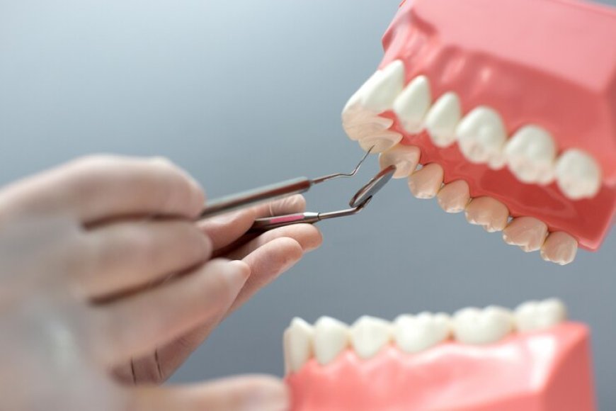 Meticulous Research® Projects Tooth Replacement Market to Reach $30.6 Billion by 2031