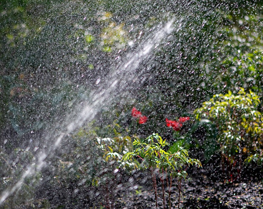 Evergreen Sprinkler and Landscaping Services