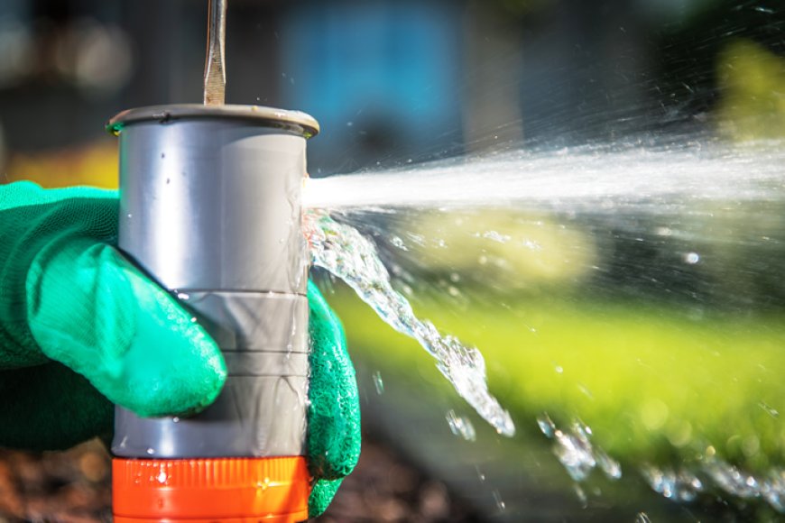 Evergreen Sprinkler and Landscaping Services