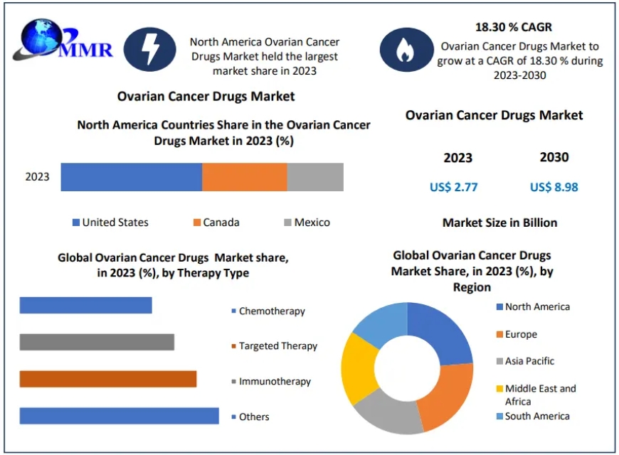 Ovarian Cancer Drugs Market Opportunity Assessments, Industry Revenue, Advancement Strategy And Forecast 2030