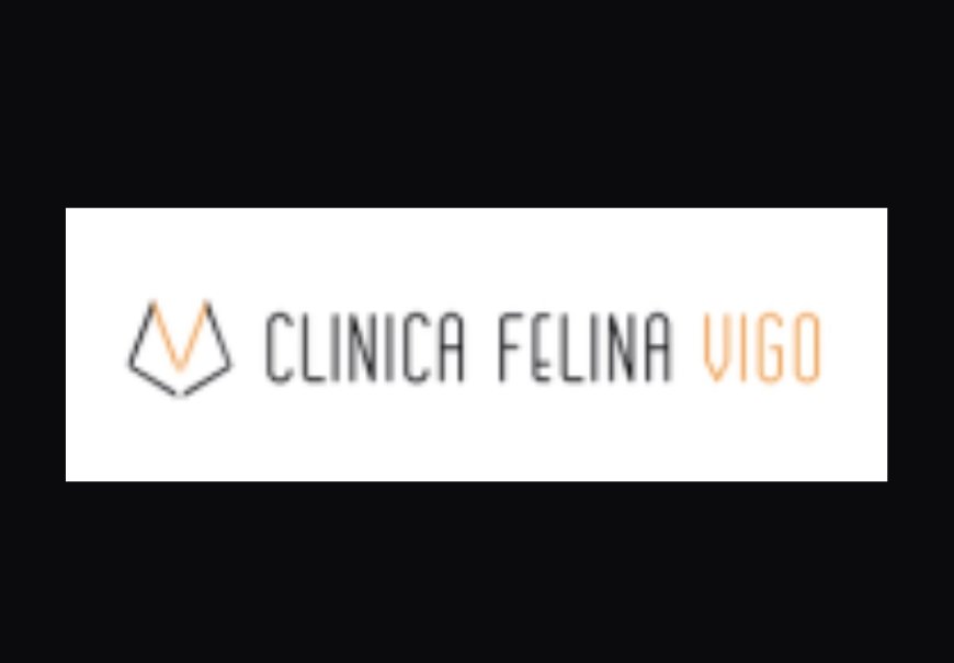 How Could VIGO FELINE CLINIC Aid in Feline Actions Issues?