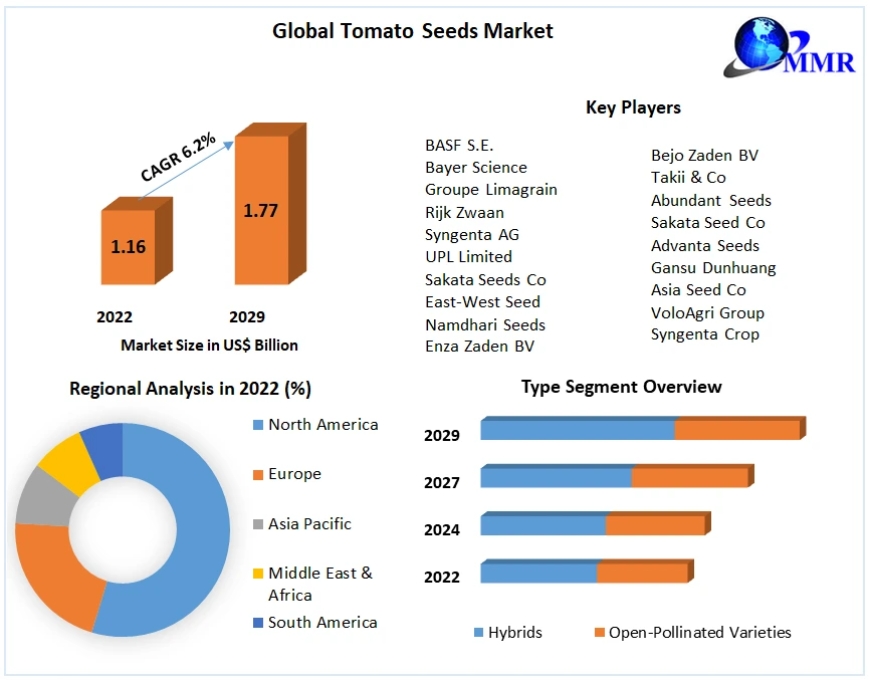 Future Growth in the Tomato Seeds Market: Revenue and Market Dynamics to 2030