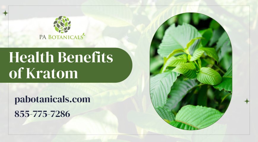 Hidden Treasure of Nature: Unveiling Kratom's Benefits