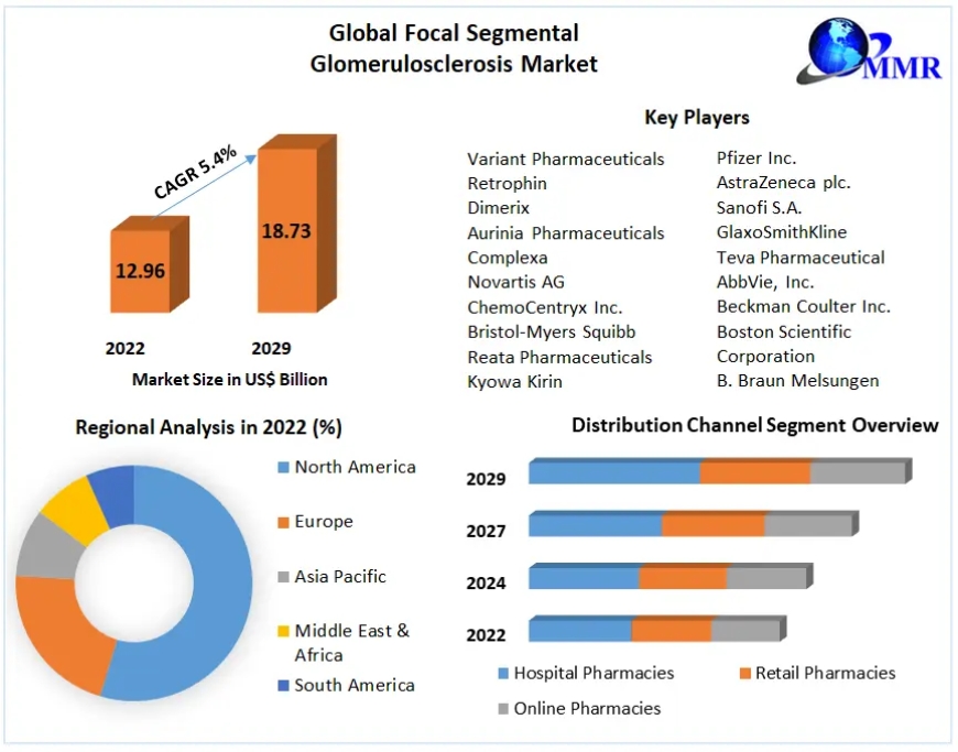 Focal Segmental Glomerulosclerosis Market Outlook: Revenue and Opportunity Analysis 2023-2029