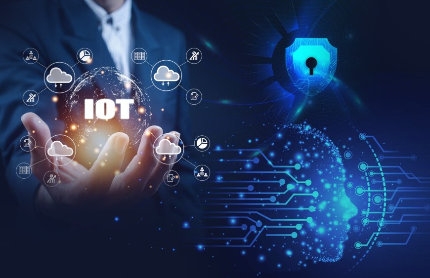 Securing Your Smart World: A Guide to IoT Device Safety