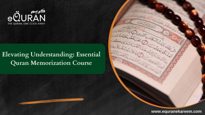 Elevating Understanding: Essential Quran Memorization Course