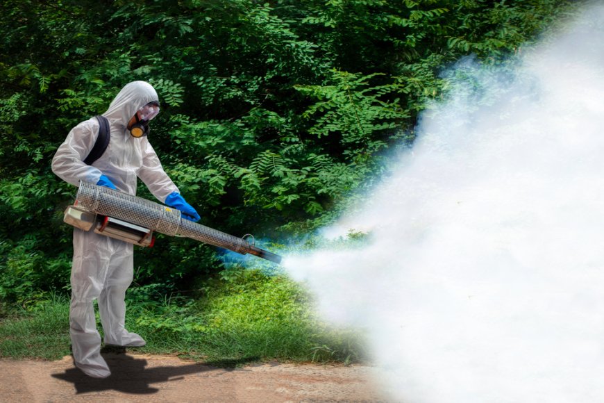 Why is mosquito control important in Singapore?