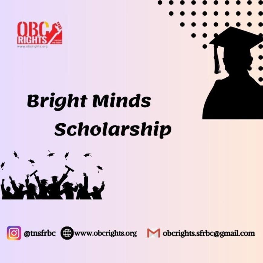 How to get Bright Minds Scholarship for MBA candidates.