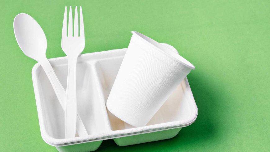 United States Bioplastics Market Trends, Share, Size, Growth, Analysis & Report 2024-2032