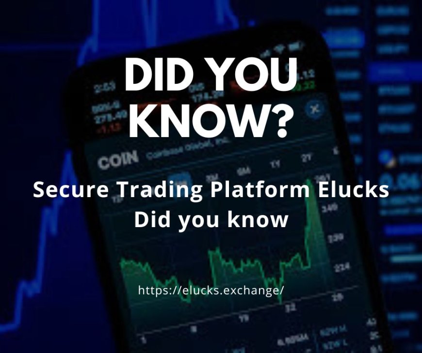 Secure Trading Platform Elevate Your Trading Experience with Elucks Exchange