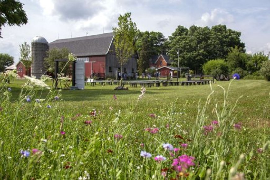 Rustic Romance: The Charm of Barn Wedding Venues in Michigan