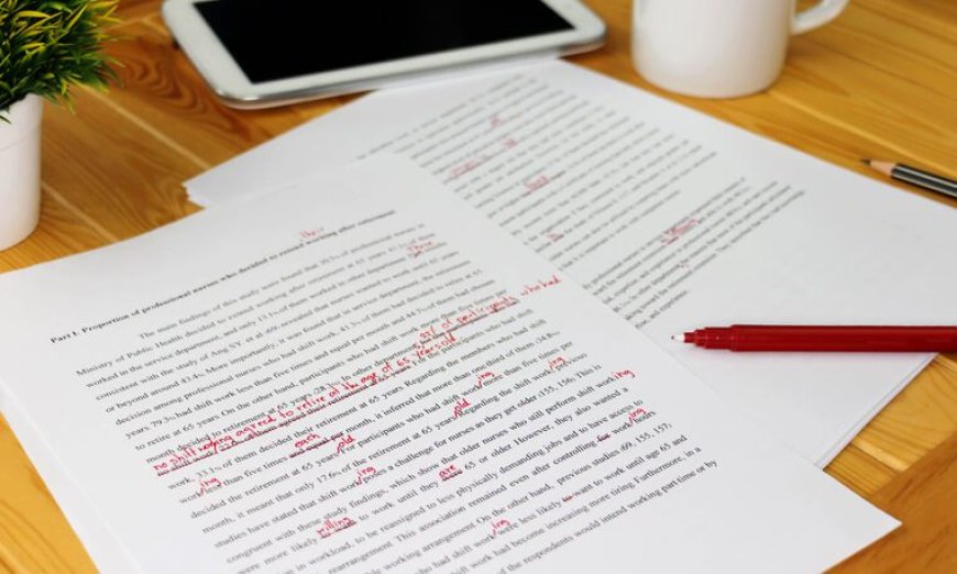 How to Effectively Proofread an Essay? Here are a Few Steps