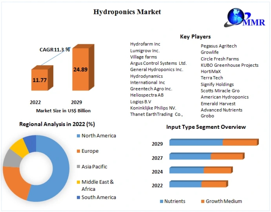 Hydroponics Market Worth the Numbers: Size, Share, Revenue, and Statistics Overview | 2024-2030